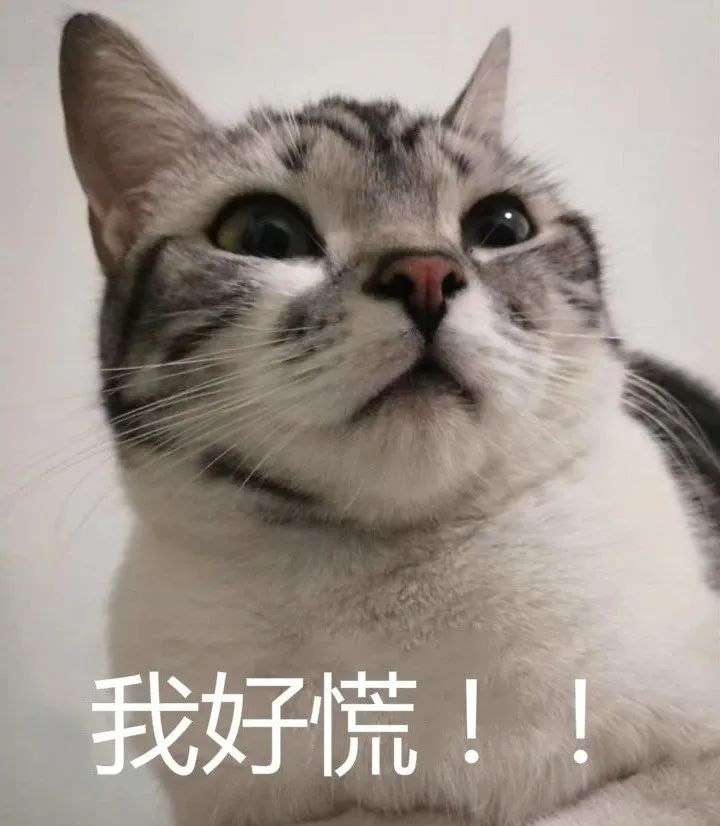 DƬ